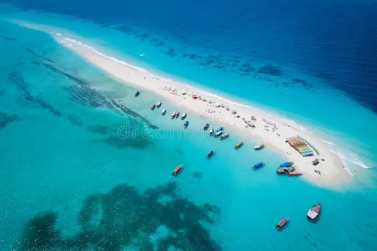 Sandbank Picnic